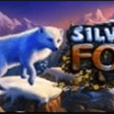Silver Fox Silver Fox